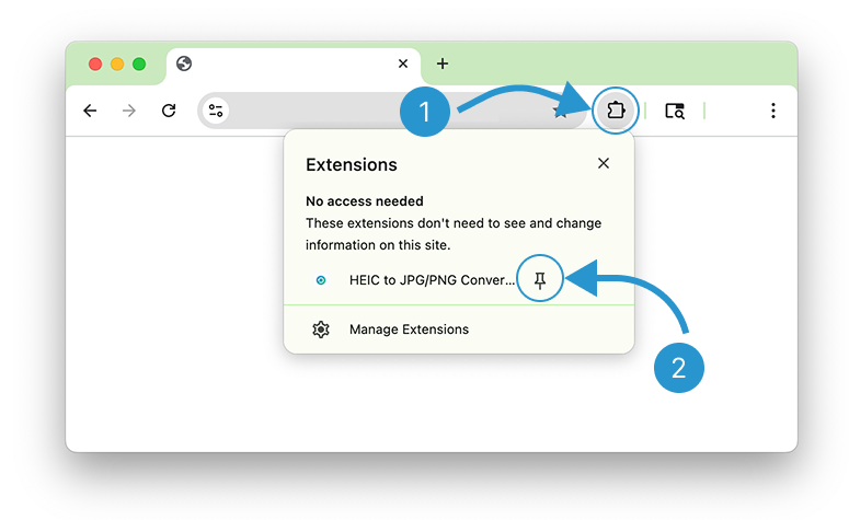 How to pin the extension